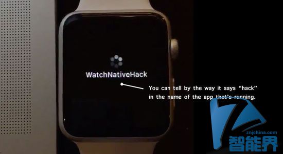Apple Watch SDK被黑？