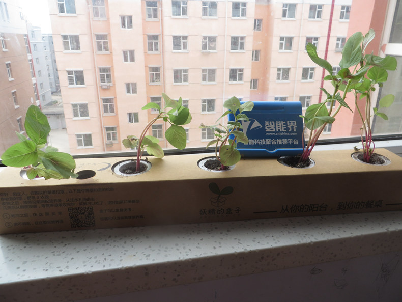 妖精的盒子——放心蔬菜自己種，美味新鮮帶回家