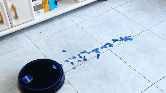1554047395493219.gif