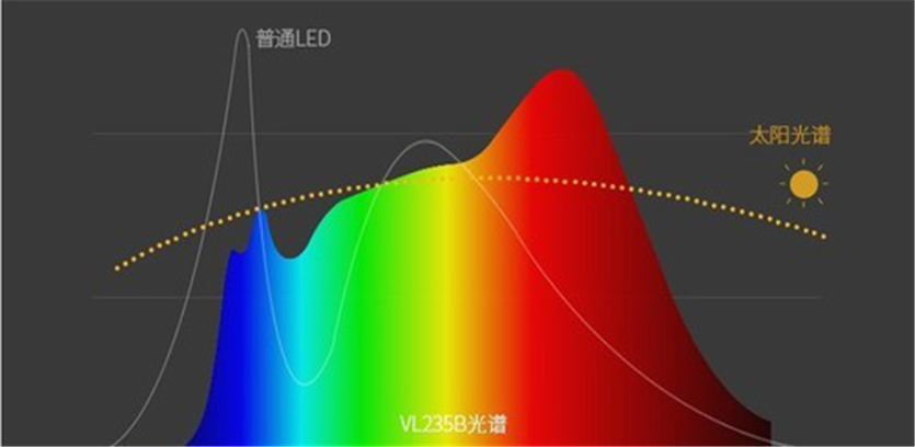 圖片2.png