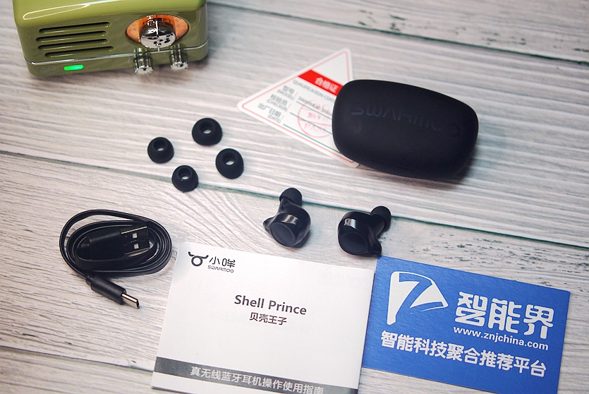 P1100107.JPG