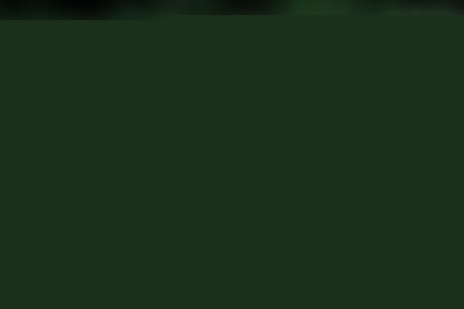 1599037903938861.jpg
