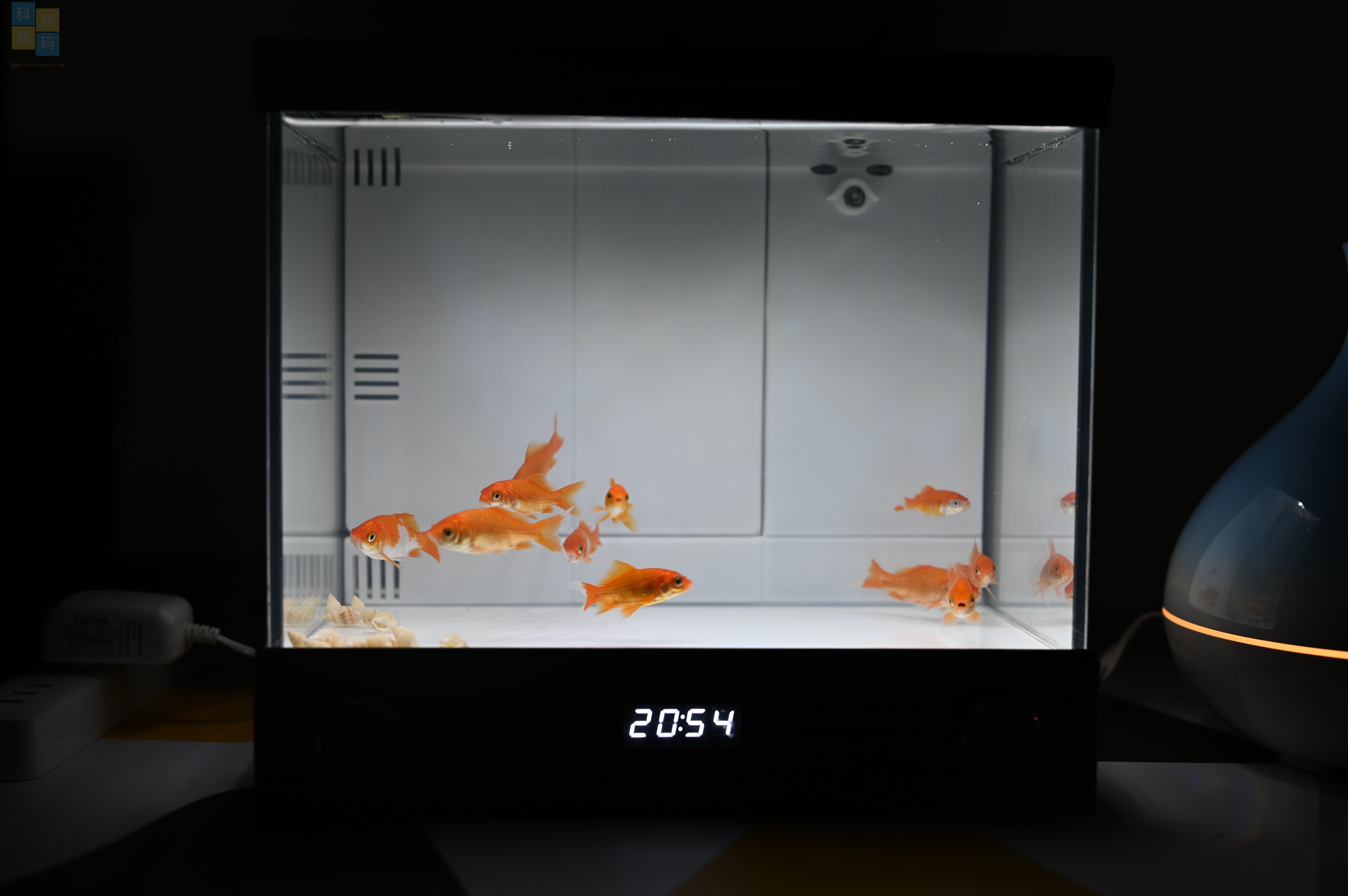 復(fù)古風(fēng)的小魚缸，還有幻彩燈效加持，憶趣TV3.0體驗